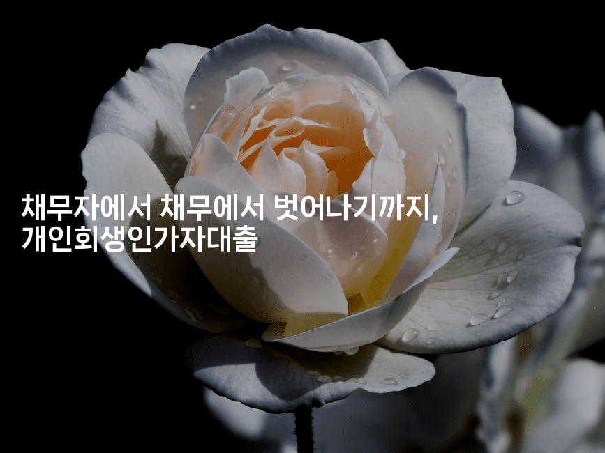 채무자에서 채무에서 벗어나기까지, 개인회생인가자대출-머니잼