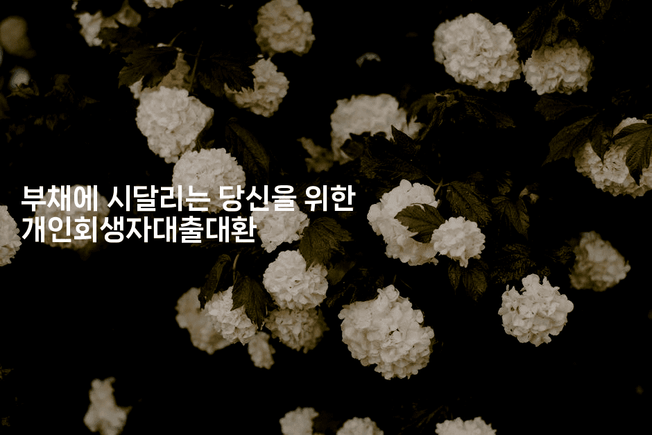 부채에 시달리는 당신을 위한 개인회생자대출대환-머니잼