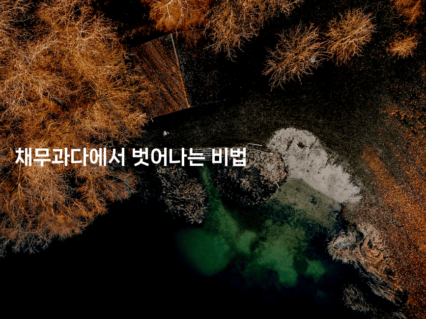 채무과다에서 벗어나는 비법-머니잼