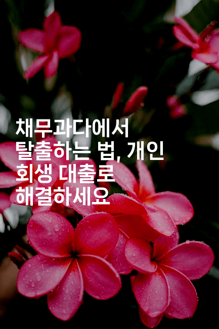 채무과다에서 탈출하는 법, 개인 회생 대출로 해결하세요-머니잼