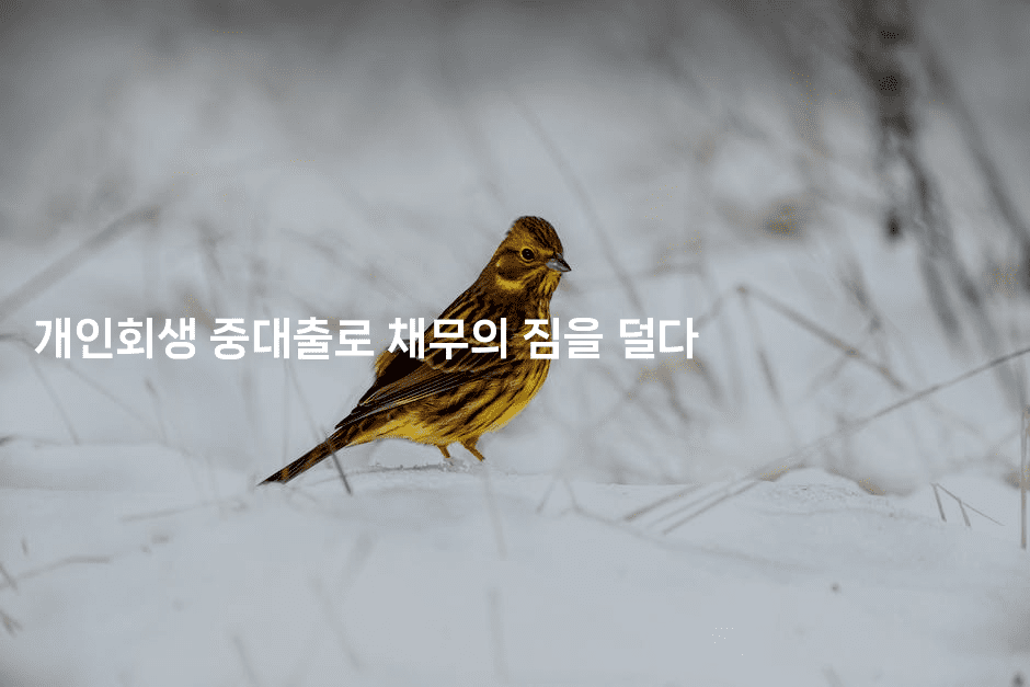 개인회생 중대출로 채무의 짐을 덜다-머니잼